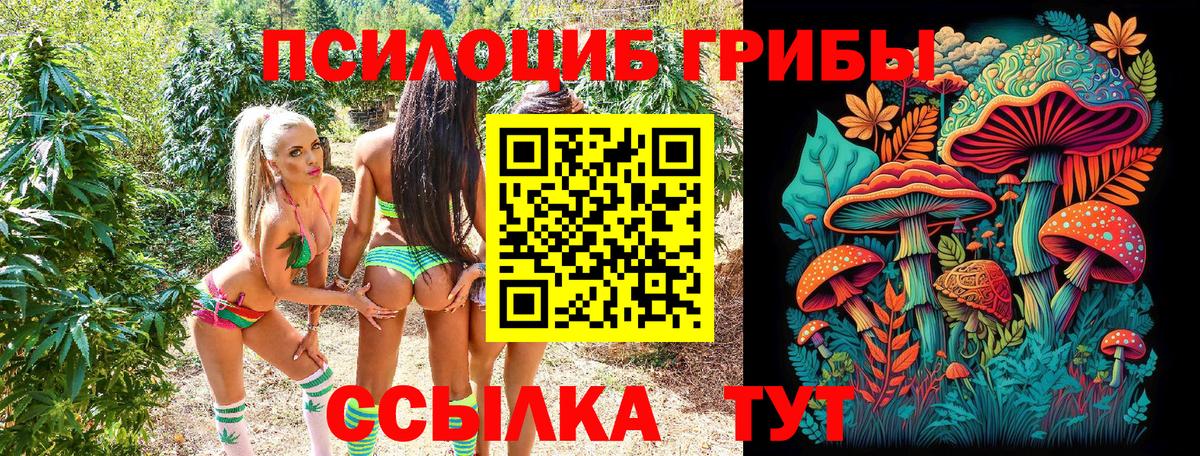 Галлюциногенные грибы мухоморы Магнитогорск