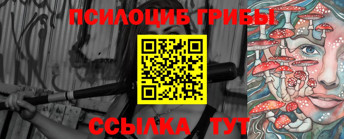 Магнитогорск  Псилоцибиновые грибы Psilocybine cubensis  Вход с VPN 